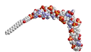 compound drug sqy51